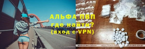 СК Надым