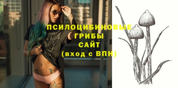 дмт Осташков