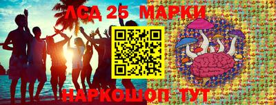 мдпв Донской