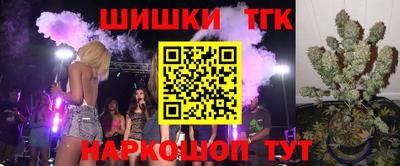 крисы Камышлов