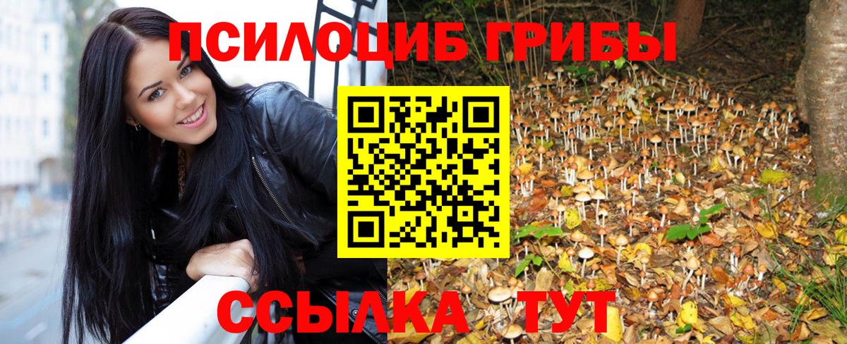 Псилоцибиновые грибы Psilocybine cubensis Тамбов