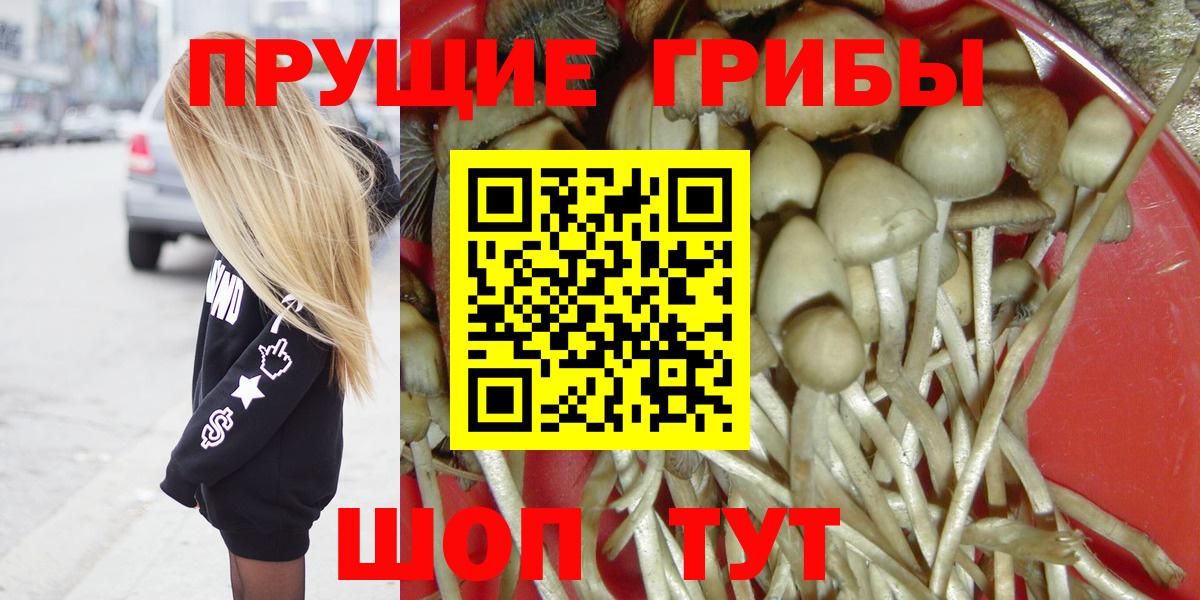 Галлюциногенные грибы MAGIC MUSHROOMS  Псилоцибиновые грибы MAGIC MUSHROOMS  Тамбов  Вход с VPN 