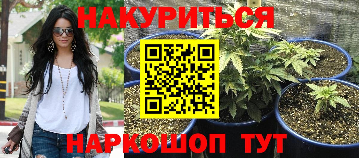 Канабис VHQ  Шишки марихуана THC 21%  Тамбов  Вход с VPN 